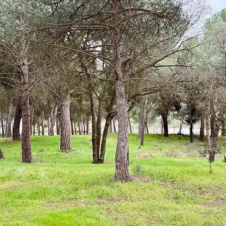 Chalet Casa Traspi En Ribera Del Duero - Dehesa Penalba
